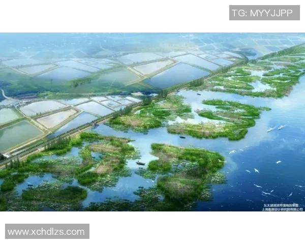 天齐网深度解析太湖水质变化与生态保护的未来发展方向